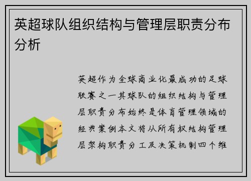英超球队组织结构与管理层职责分布分析